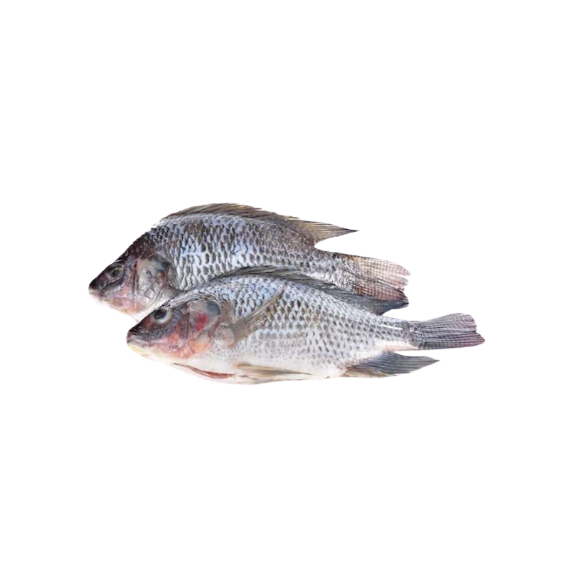 TILAPIA V/E 300/500G 20%GLZ 4KG