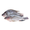 TILAPIA V/E 300/500G 20%GLZ 4KG