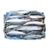 MAQUEREAU ENT 400-600G 20KG