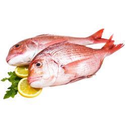 DORADE ROSE V/E 1800-3000G...