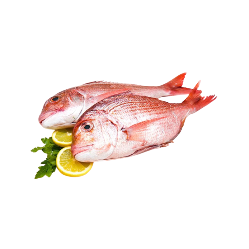 DORADE ROSE V/E 1800-3000G 10KG