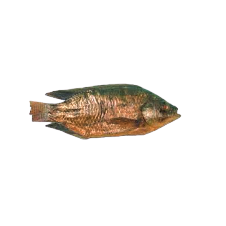 TILAPIAS ENTIERS FUME 4KG