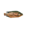 TILAPIAS ENTIERS FUME 4KG