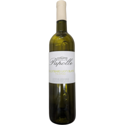 COTES GASCOGNE BLANC IGP2022 6X75CL