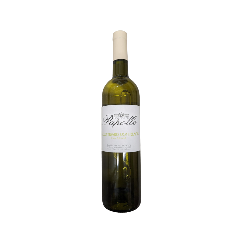 COTES GASCOGNE BLANC IGP2022 6X75CL