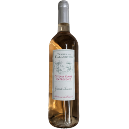 COTES PROVENCE ROSE AOC 2021 6X75CL