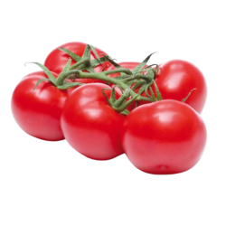 TOMATES FRAICHES CRT 6KG