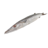 BARRACUDA ENT 500/1000G 10KG