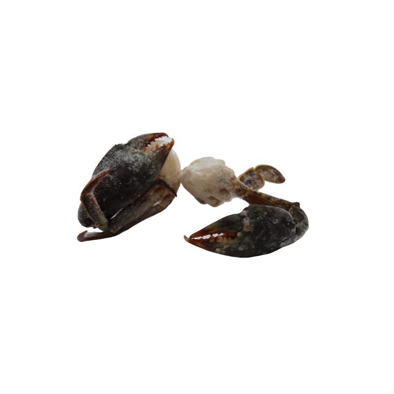 CRABE MORCEAUX CRUS MAD L 12X1KG