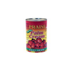 SAUCE GRAINE PRAISE 12X400G