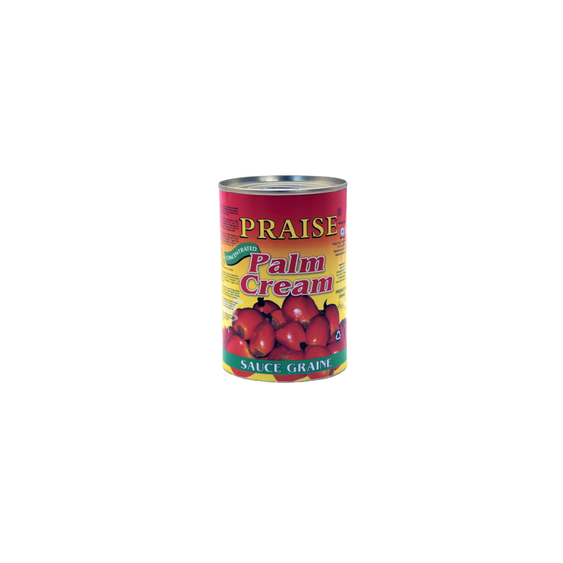 SAUCE GRAINE PRAISE 12X400G