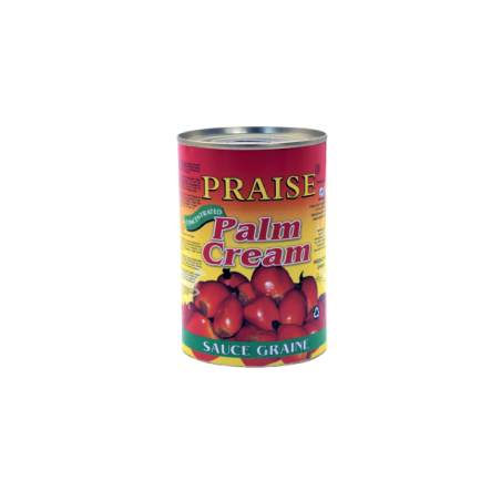 SAUCE GRAINE PRAISE 12X400G