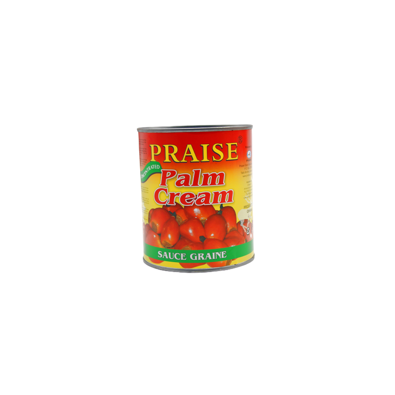 SAUCE GRAINE PRAISE 12X800G