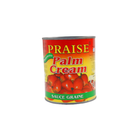 SAUCE GRAINE PRAISE 12X800G