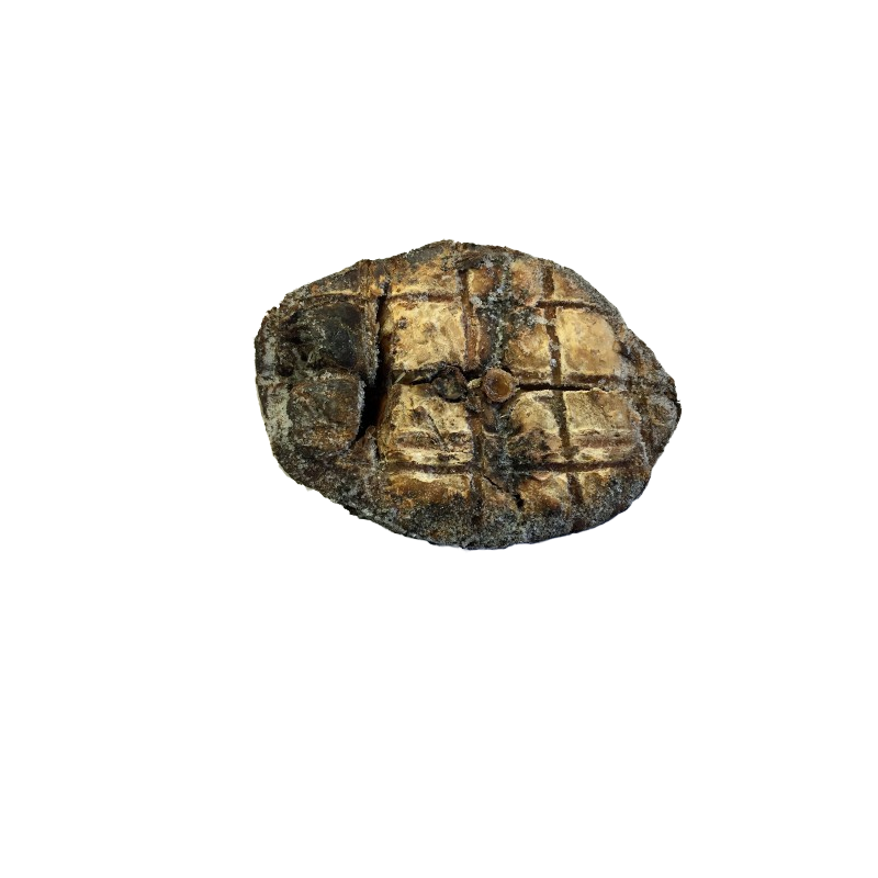 DARNES DE THON FUMEES 3 KG