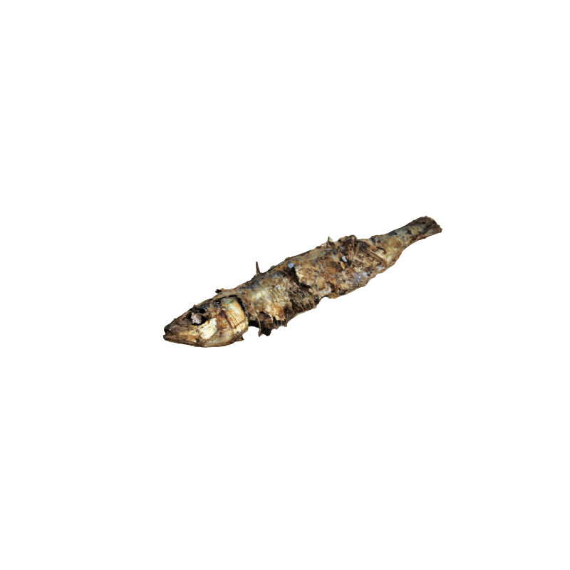 SARDINES FUMEES 3KG