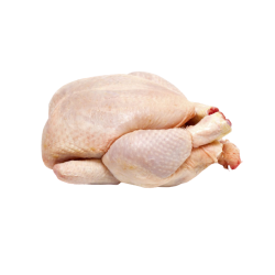 POULE ENTIERE 6-8 PCS PM 8KG