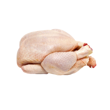 POULE ENTIERE 6-8 PCS PM 8KG