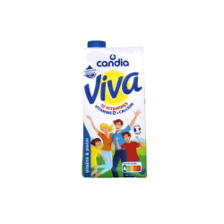 LAIT VIVA 6X1L