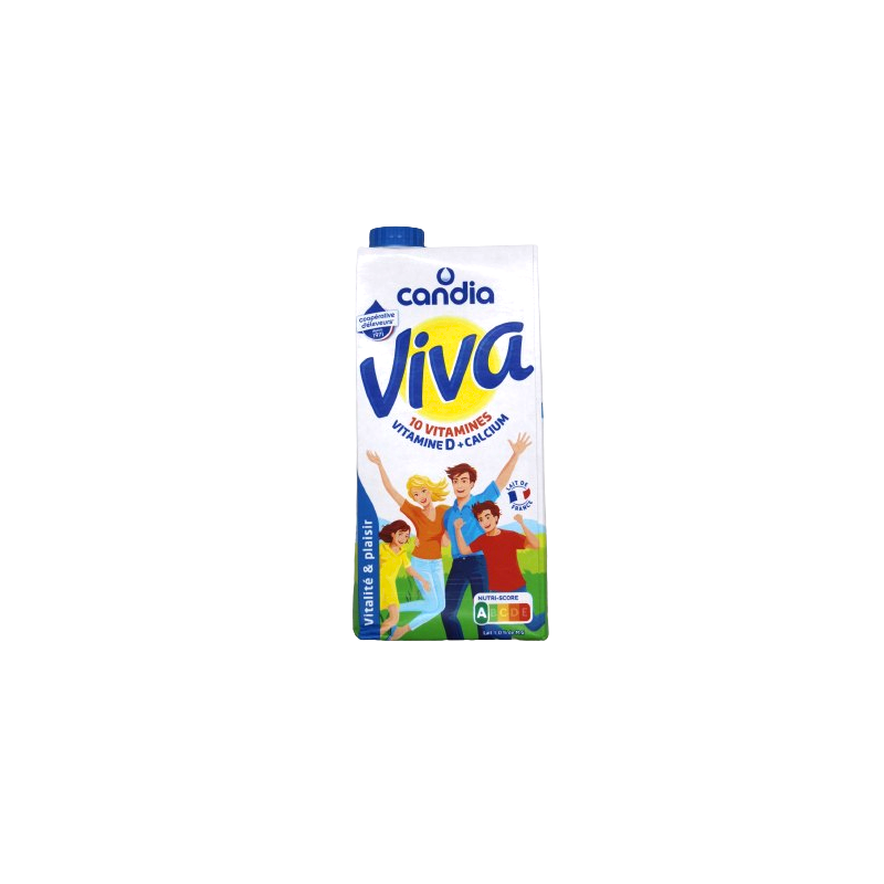 LAIT VIVA 6X1L