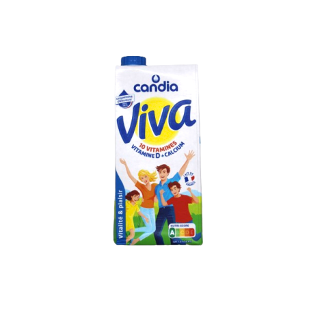 LAIT VIVA 6X1L