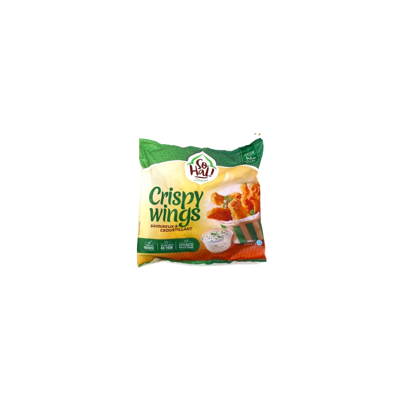 AILES DE PLT CRISPY HALAL 15X600G