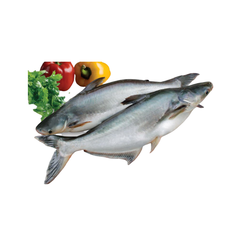 PALETTE DE PANGASIUS ENT VIDE VN 800+G 112 CARTONS DE 4KG SOIT 448KG