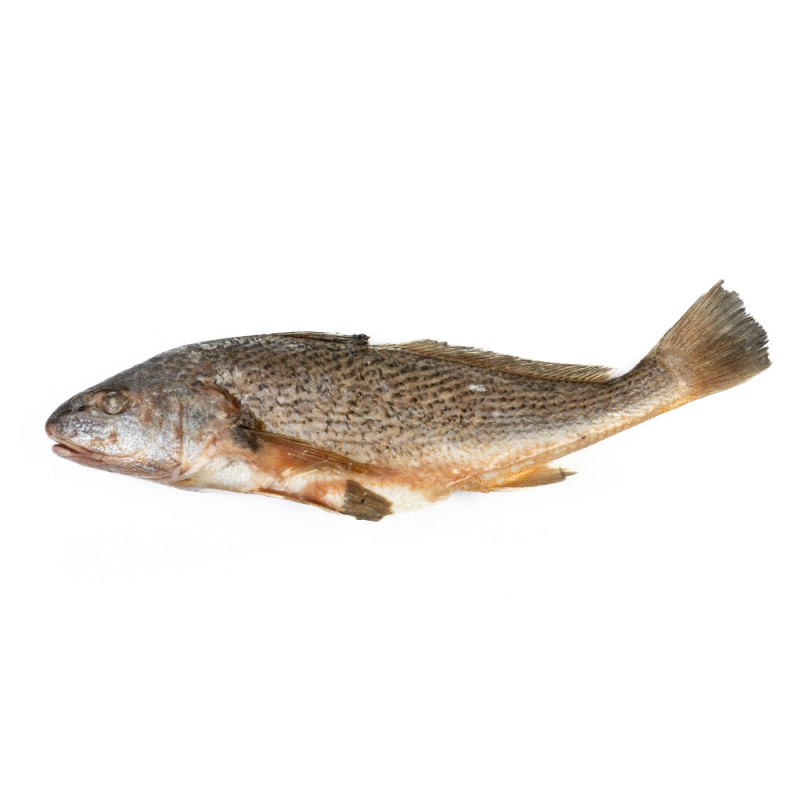 TAMBOUR ARG V/E 400-800G 5KG