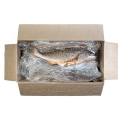 TAMBOUR ARG V/E 400-800G 5KG