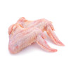 AILE DE POULET NOIR HALAL 10KG