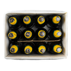 GUINNESS CAMEROUN 12X65CL
