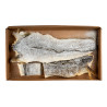 JULIENNE 16/20 SALEE SECHEE 3KG