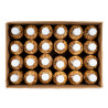 ARACHIDE GRILLE 24X300G