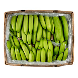BANANE VERTE 18KG