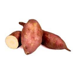 PATATE DOUCE BLANCHE 10KG