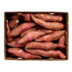 PATATE DOUCE BLANCHE 10KG