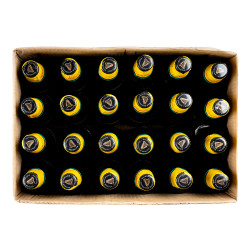 GUINNESS CAMEROUN 24X33CL