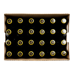 GUINNESS IRLANDE 24X33CL