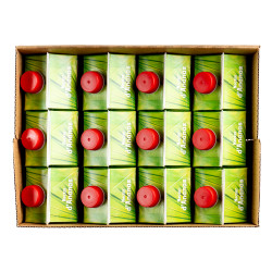 NECTAR ANANAS MONTPELE 12X1L