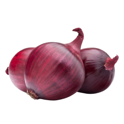 OIGNONS ROUGE FILET 25KG