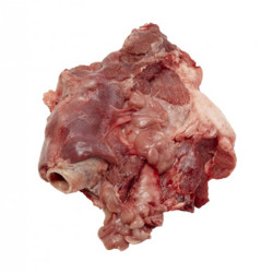 RACINE DE LANGUE PORC...