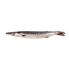 BARRACUDA ENT 500-1000 10KG