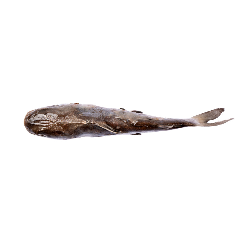 MACHOIRON ENT VIDE 300-500G 10KG