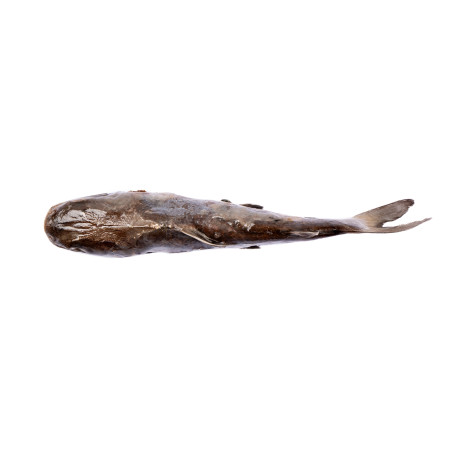 MACHOIRON ENT VIDE 300-500G 10KG