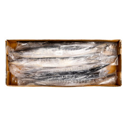 BARRACUDA ENT 1/2KG 10KG