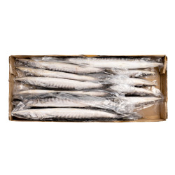 BARRACUDA ENT 500/1000G 10KG