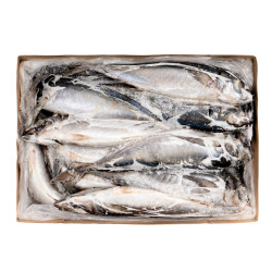 CHINCHARD ENT 900G+ 20KG