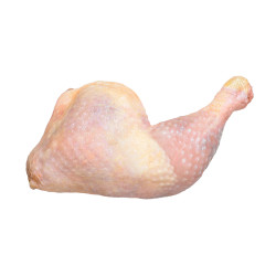 CUISSE PLT A VAN-O-BEL...