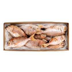 DORADE ROSE ARG G/V 300/500 5KG