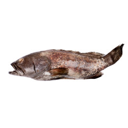 MEROU INDE 3/5KG 25KG